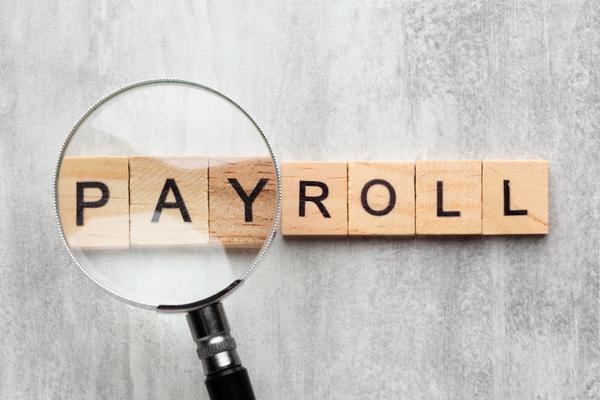 error free payroll management