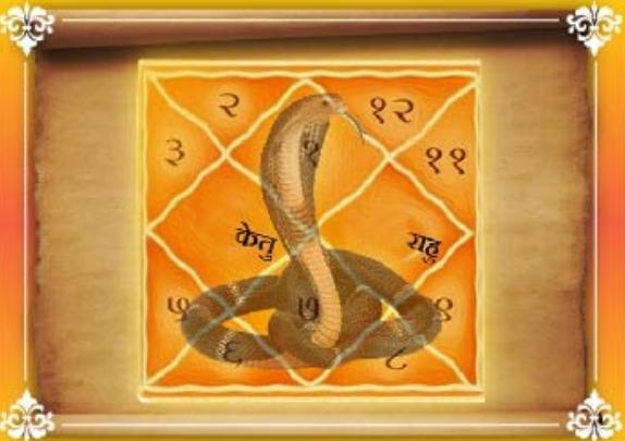 snake related dosha pacificati