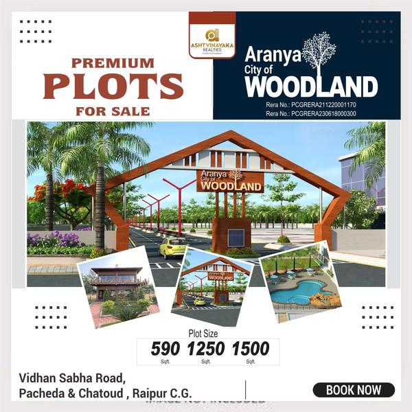 raipur city property developme