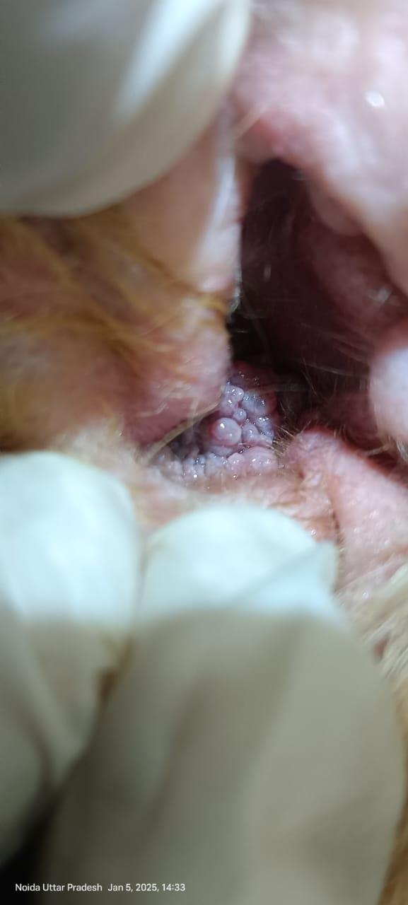 update image