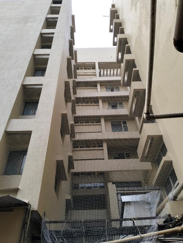 #bird netting in gb road
#bi