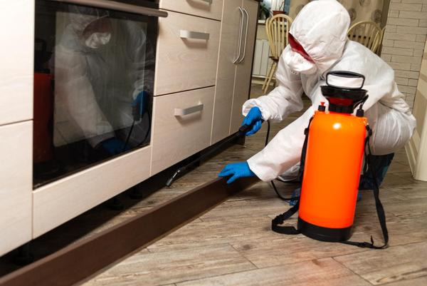 cleaner healthier environment
