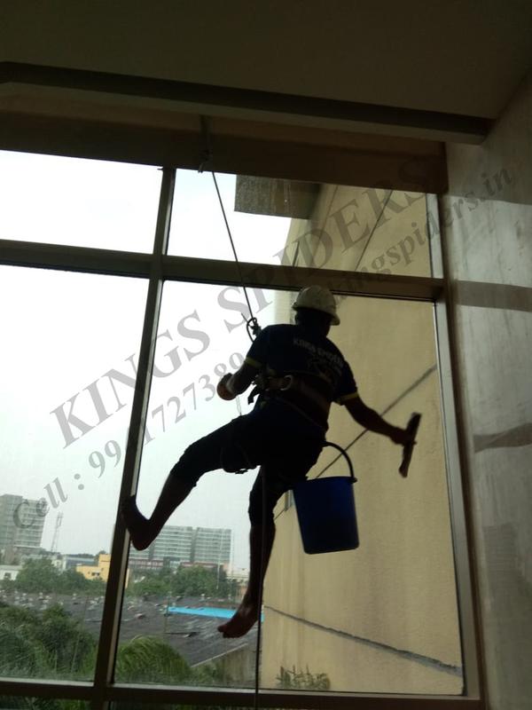 window washing service