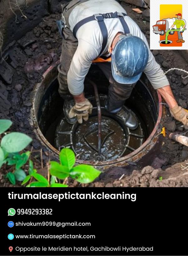 trained experts
