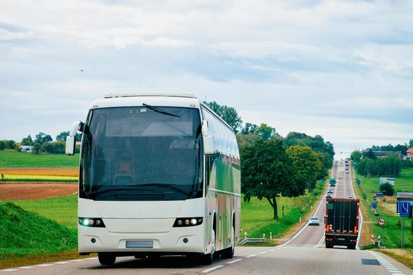 group travel tailored