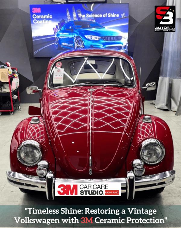 Timeless Shine, Endless Protec