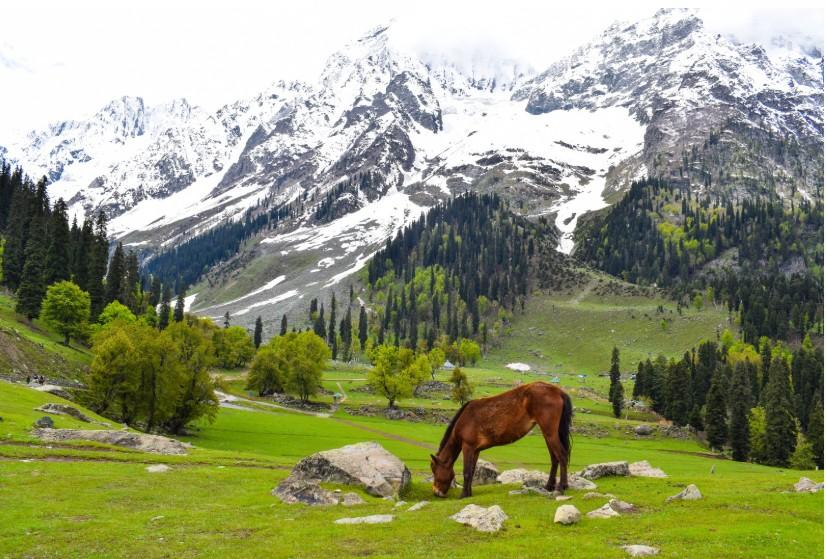 manali tour package