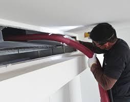 highly skilled professionals