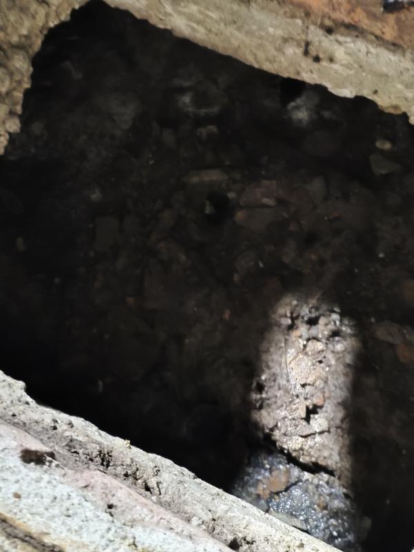 same day septic tank cleaning