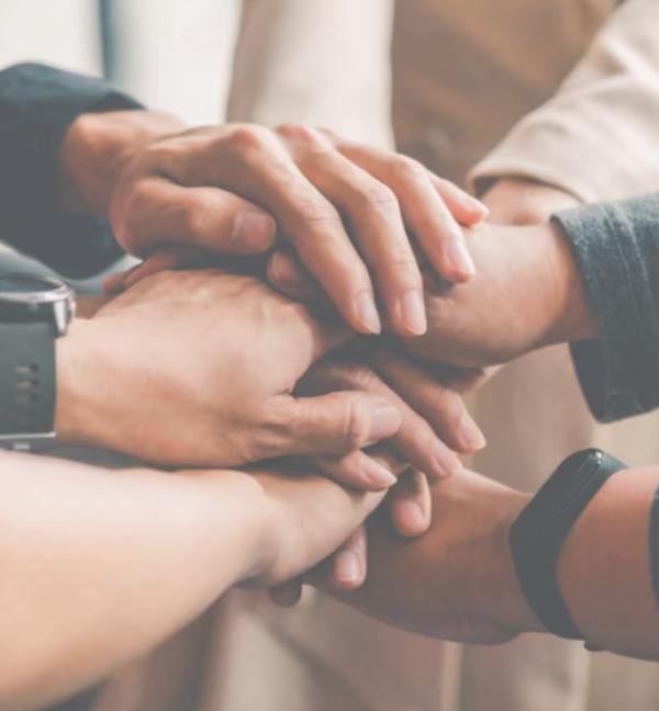 joint ventures investors