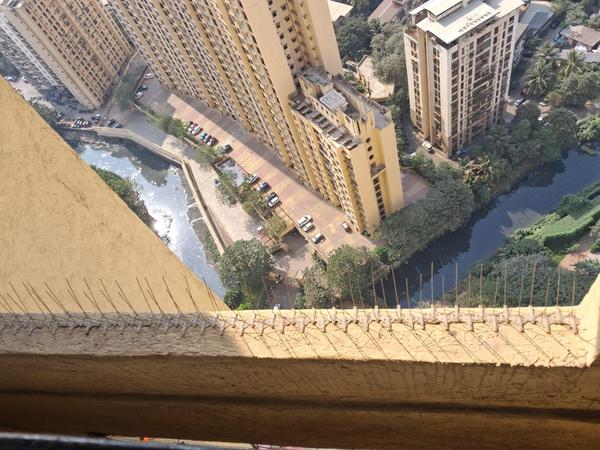 soham Bird net service
Bird