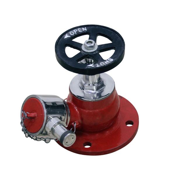 Are you Finding Fire Hydrant S