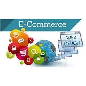 professional seo company trich