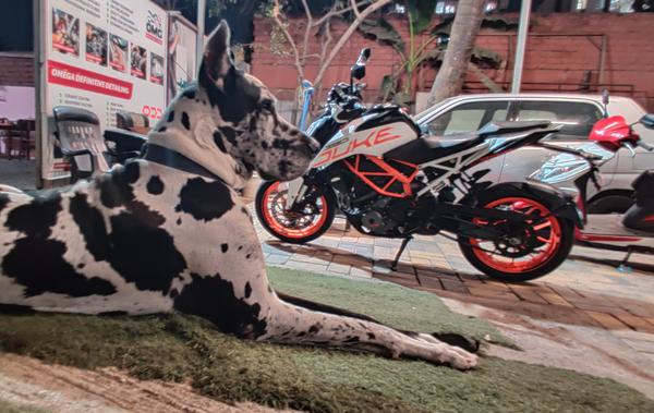 best ktm bike repair