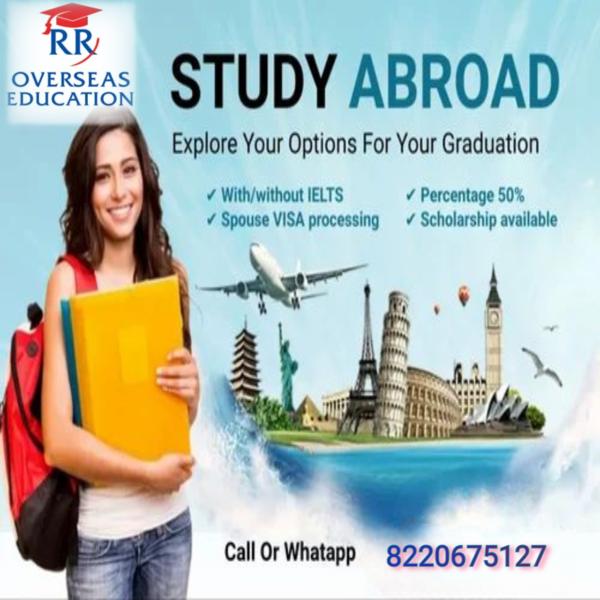 Best Overseas Consultant 