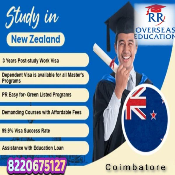 Best Overseas Consultant 