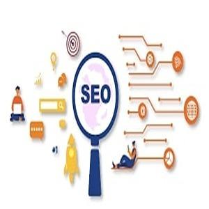 tailored seo solutions