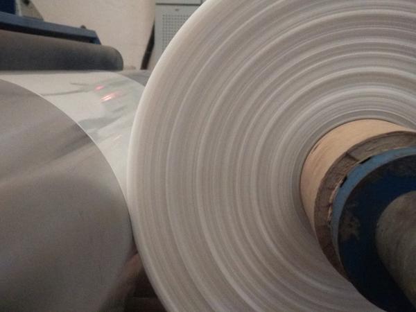 The Importance of LDPE Plastic Bags & Why Choose S