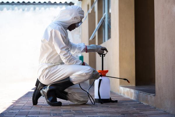 eco safe pest control treatmen