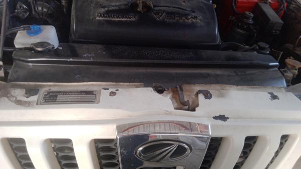 car cleaning specialists