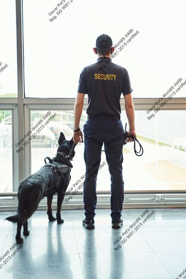 police guard dog security mumb