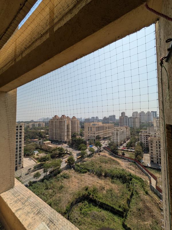 Soham Bird Protection Netting