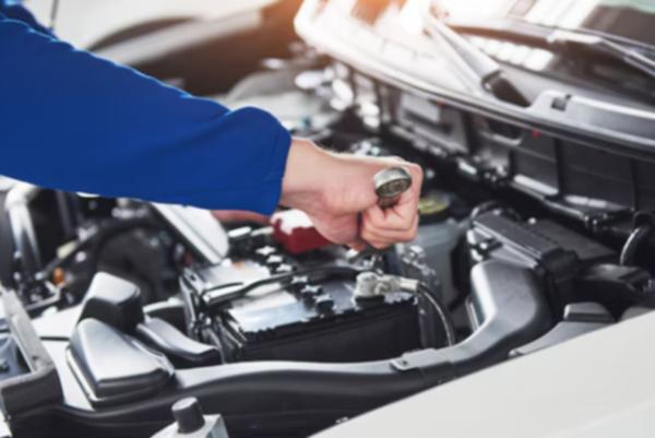 offer specialized services