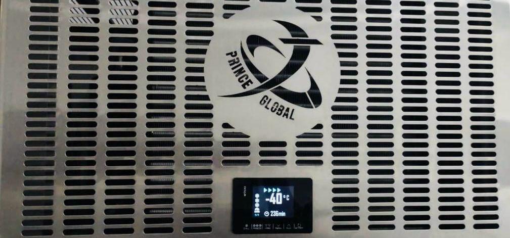 iqf blast freezer for food pro