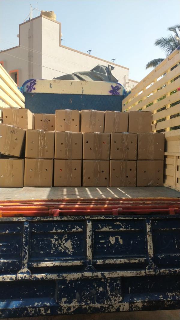 convenient moving services