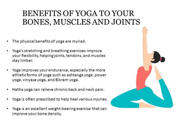 bones muscles