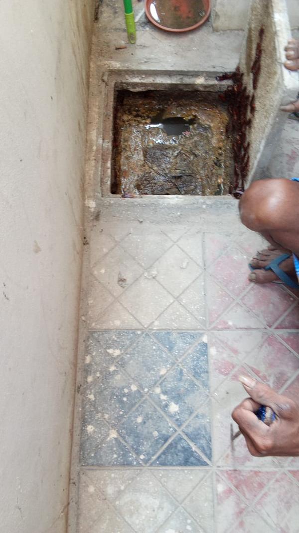 Where to Find the Best Septic