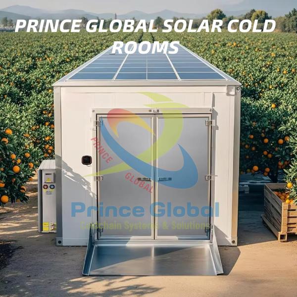 revolutionize freshness