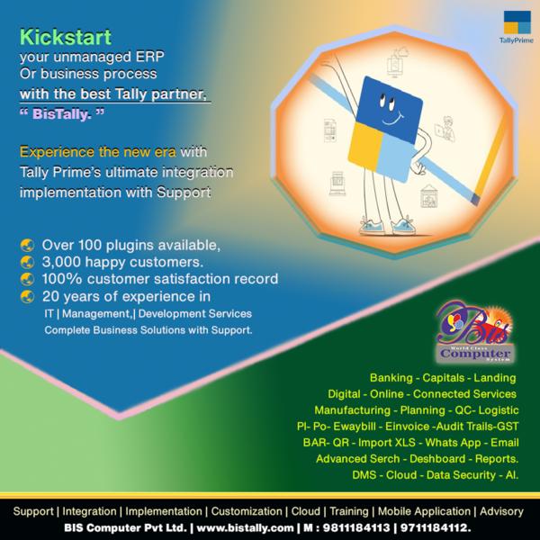 tally erp implementation servi