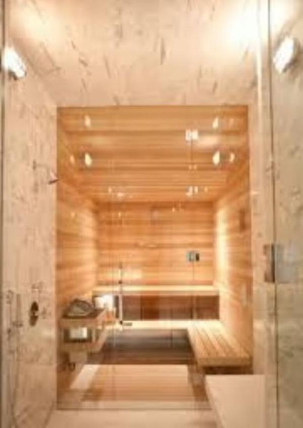 Experience the Future of Wellness with Infrared Sa