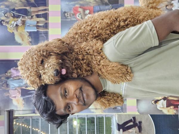 pet boarding near sector 18 no