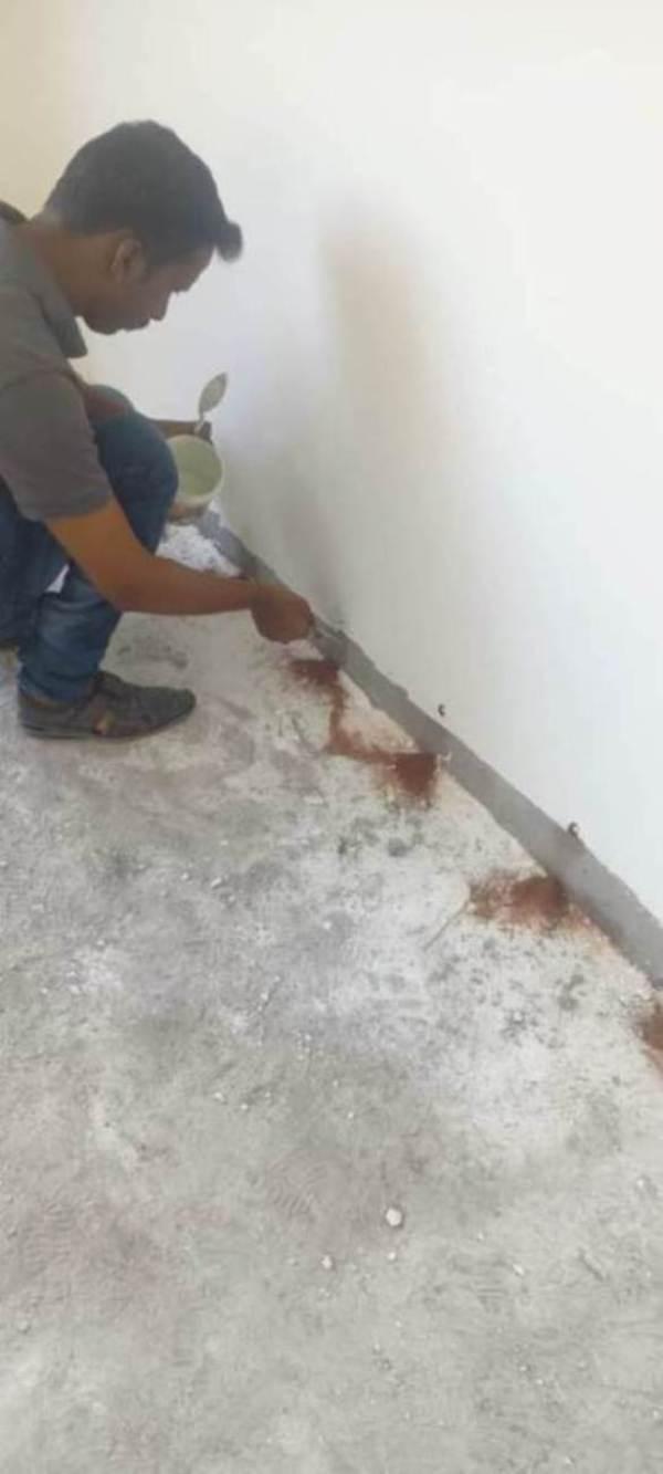 residential pest control