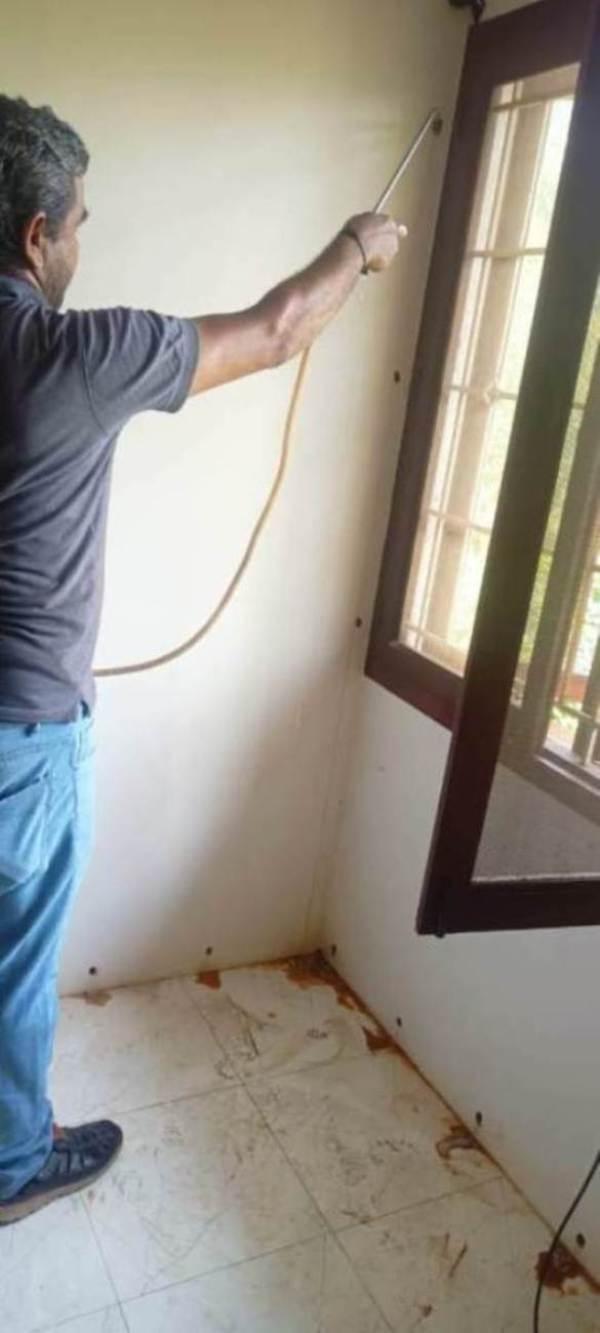 rat control service