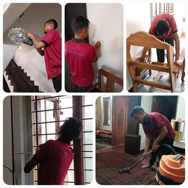 professional cleaning services
