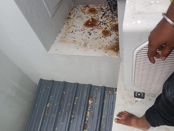 honey bee service in coimbator