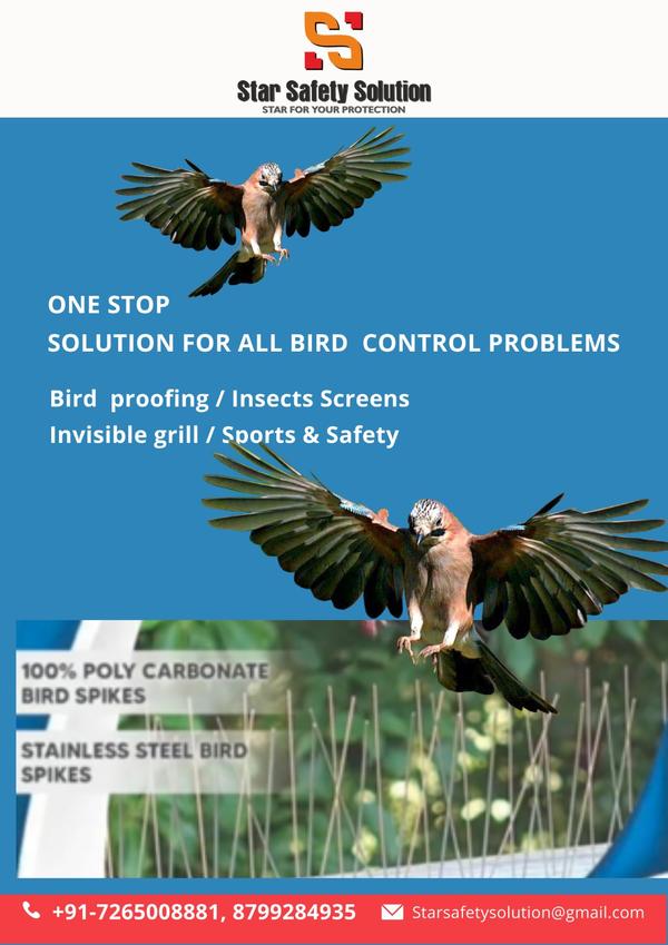ecofriendly bird control