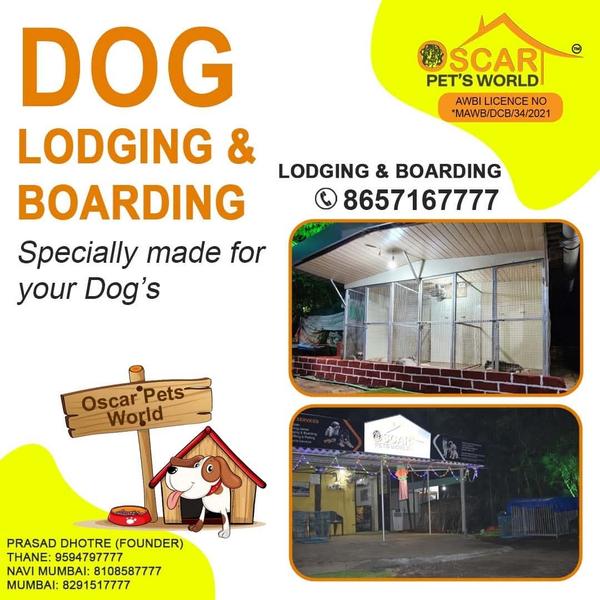 premium pet boarding