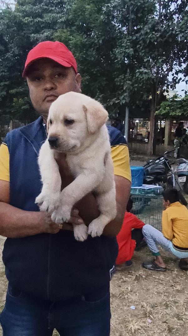 nagpur maharashtra