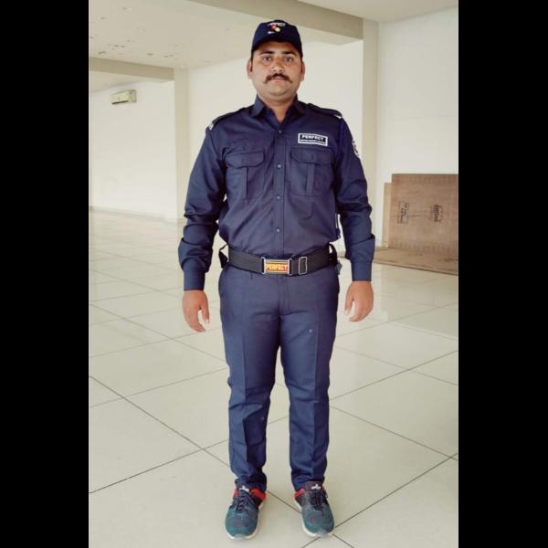 safeguards physical assets