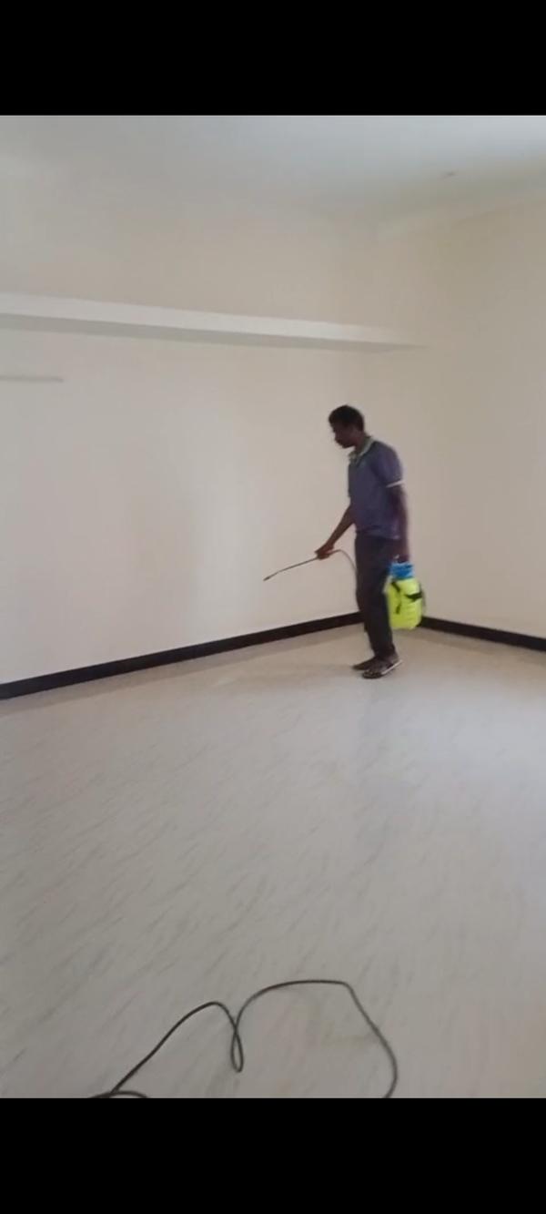 termite pest control orange cr