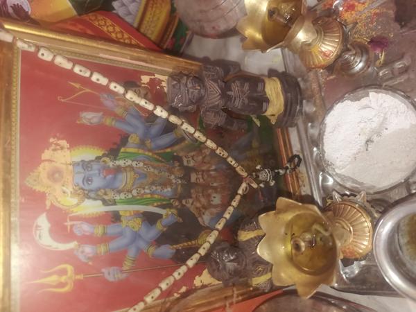 Kollegala famous astrologer in