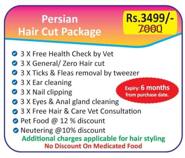 animal emergency care and pet 