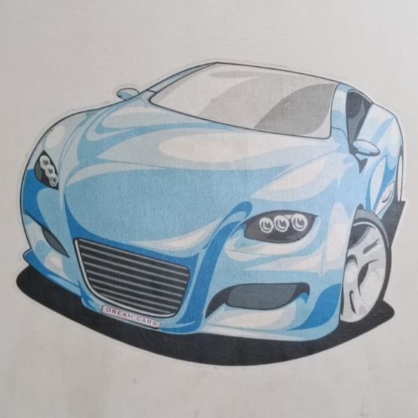 professional ceramic car wash