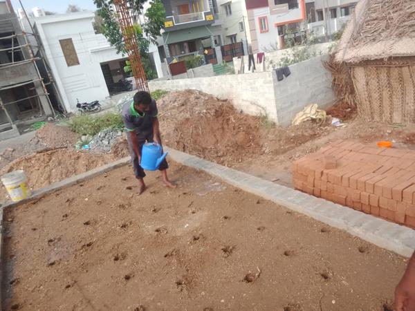 termite pest control orange cr