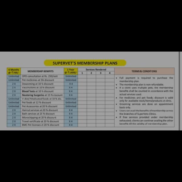 animal emergency care and pet 