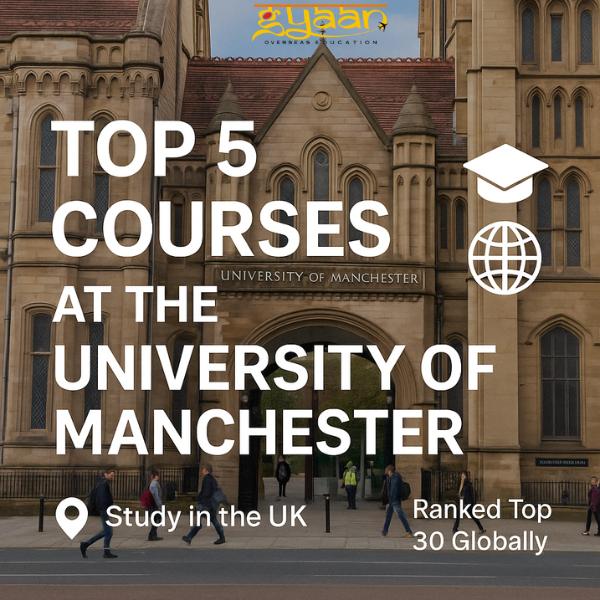 🎓 Top 5 Courses to Study